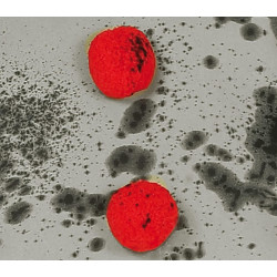 Zēnu klauna slepkavas kostīms