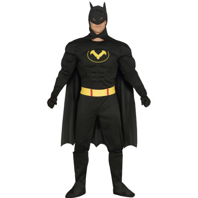 Men's Superhero Costume