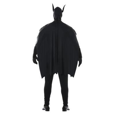 Men's Superhero Costume