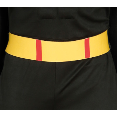 Men's Superhero Costume