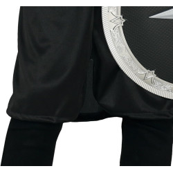 Medieval Warrior Costume for Boys