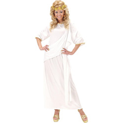 Elegant and Fun Adult Toga Costumes for Your Next Party!