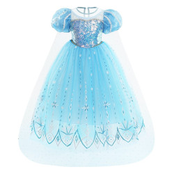 Charming Light Blue Princess Dress for Little Royals