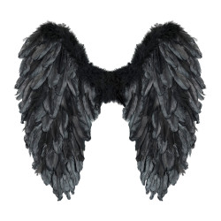 Black Feather Wings