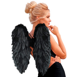 Black Feather Wings