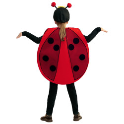 Kids' Ladybug Costume