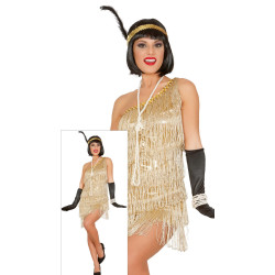 Charleston Dress for Women