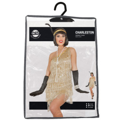 Charleston Dress for Women