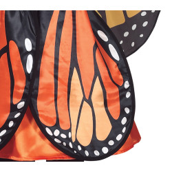 Meiteņu tauriņa kostīms