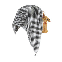 Lateksa raganas maska ar kapuci