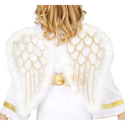 Angel Wings 47x40 cm