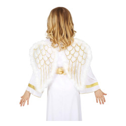 Angel Wings 47x40 cm