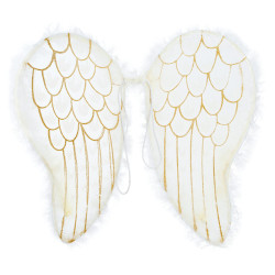 Angel Wings 47x40 cm
