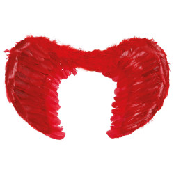 Red Feather Wings, 60x50 cm