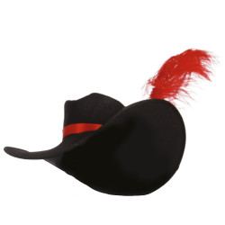 Musketeer Hat