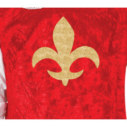 Musketeer Costume for Boys