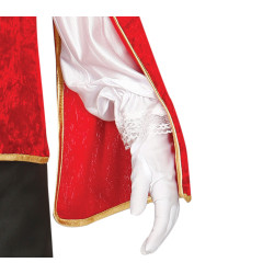 Musketeer Costume for Boys